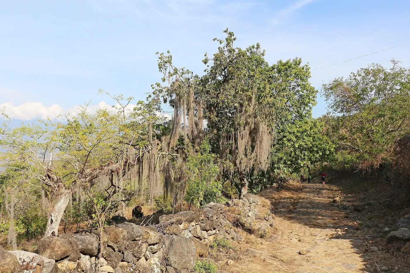 El Camino Real a Guane cruzando el paisaje seco del cañón